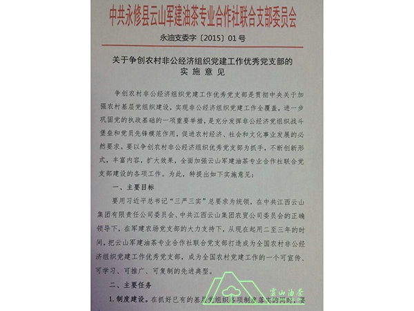 联合支部工作意见