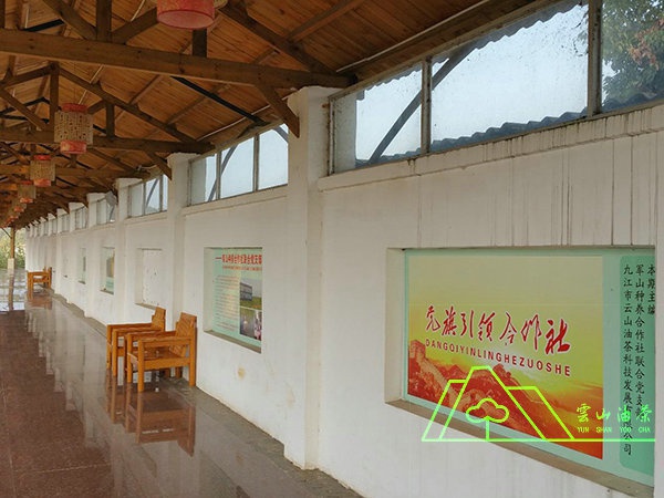 基地党建宣传走廊