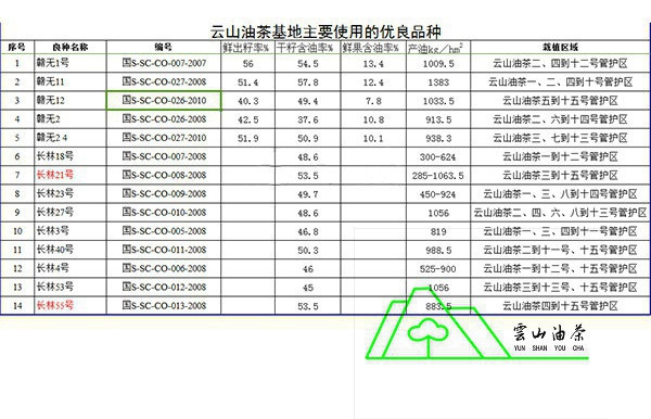 云山油茶良种