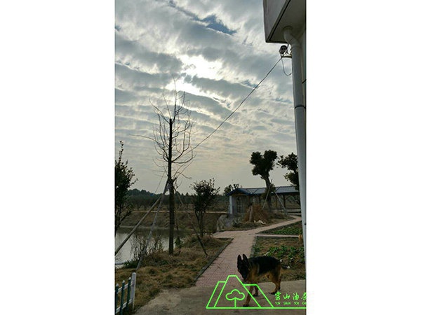 基地摄影