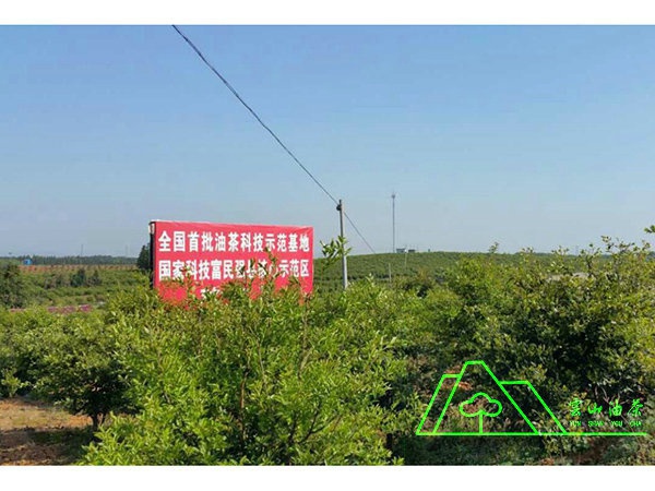 基地摄影