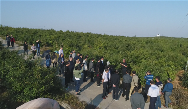 微信图片_20181014205503.png