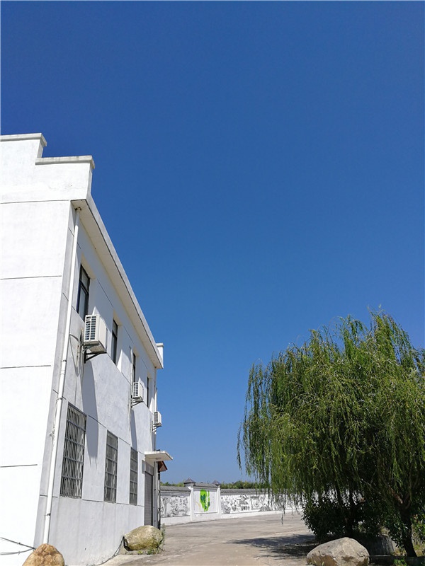 基地景观