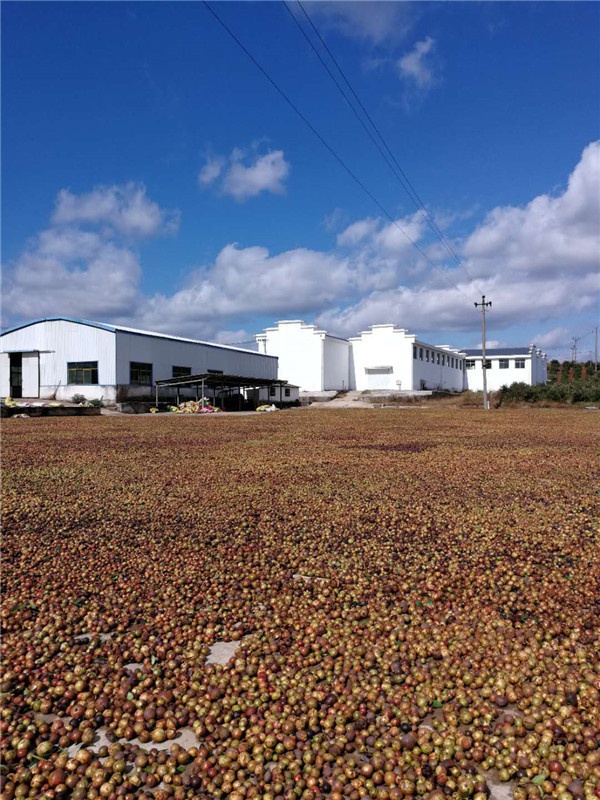 基地景观