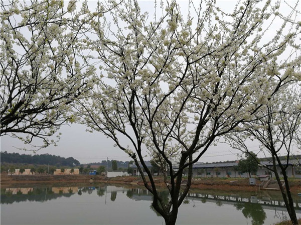 基地景观