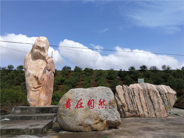 微信图片_20200529085611.jpg