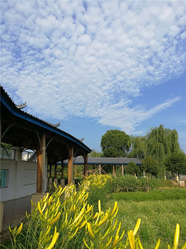 微信图片_20200609122513.jpg