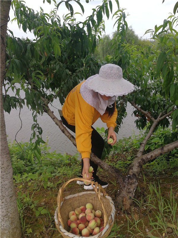基地景观