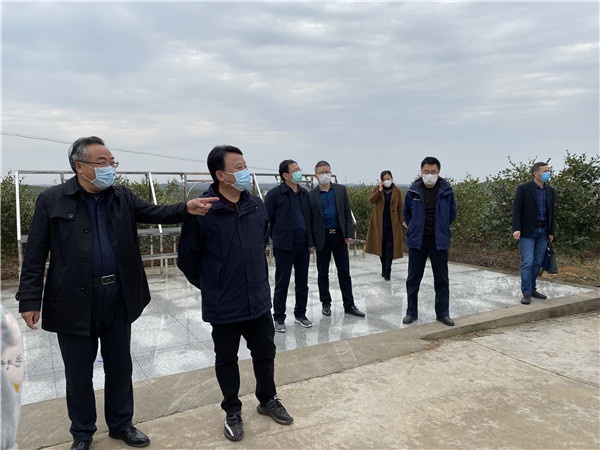 参观培训