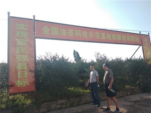 微信图片_20200826180207.jpg