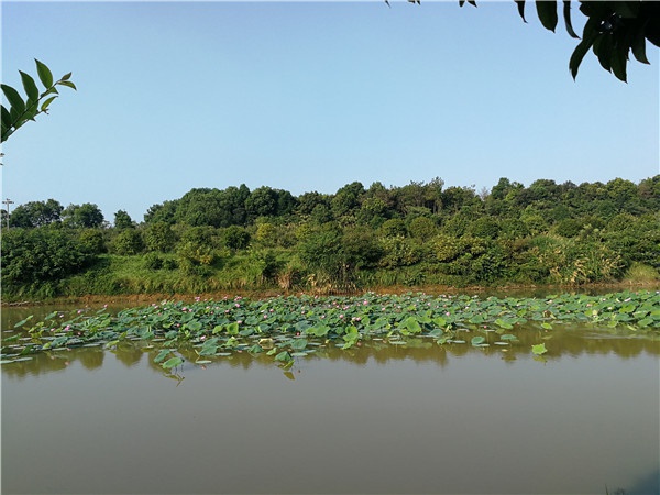 基地景观