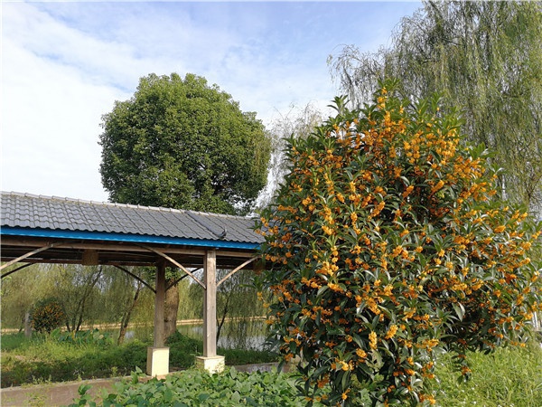 基地景观