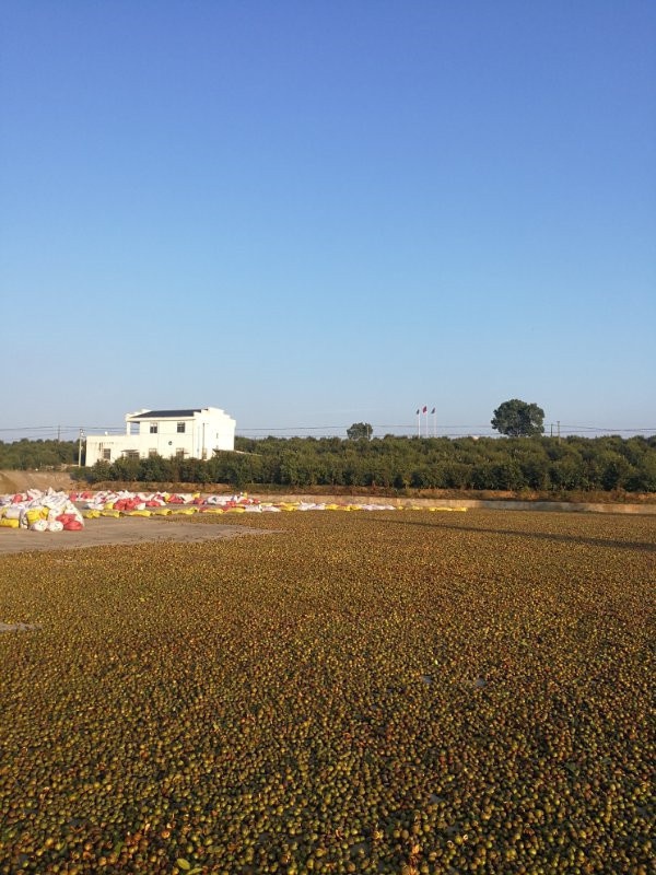 微信图片_20201012083404.jpg