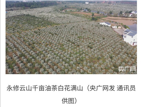 微信图片_20201102180918.jpg