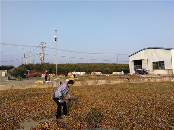 微信图片_20201110131230.jpg