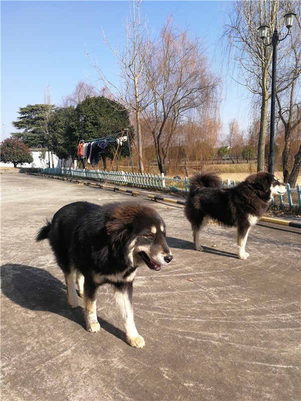 微信图片_20210118081952.jpg
