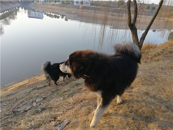 微信图片_20210118082029.jpg