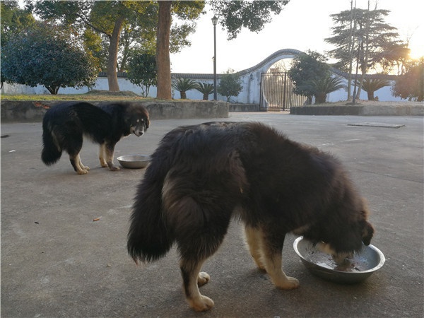 微信图片_20210118082036.jpg