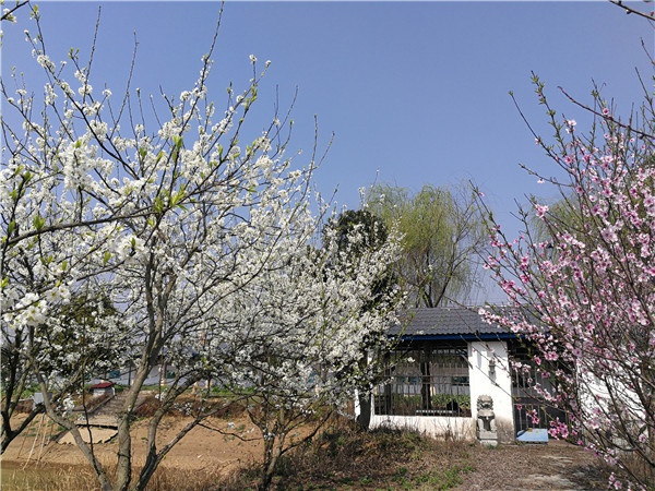 微信图片_20210223182037.jpg