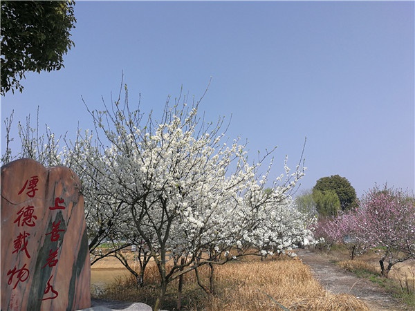微信图片_20210223182055.jpg