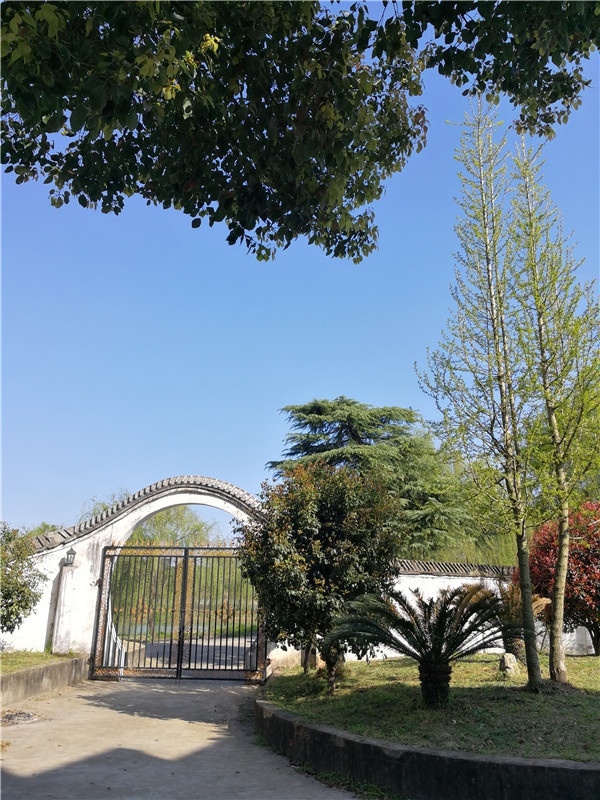 基地景观