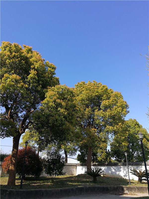 基地景观
