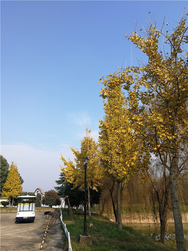 基地景观