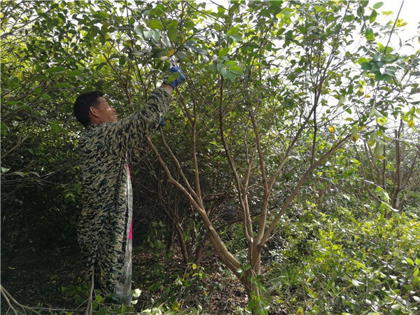 微信图片_20210506164758.jpg