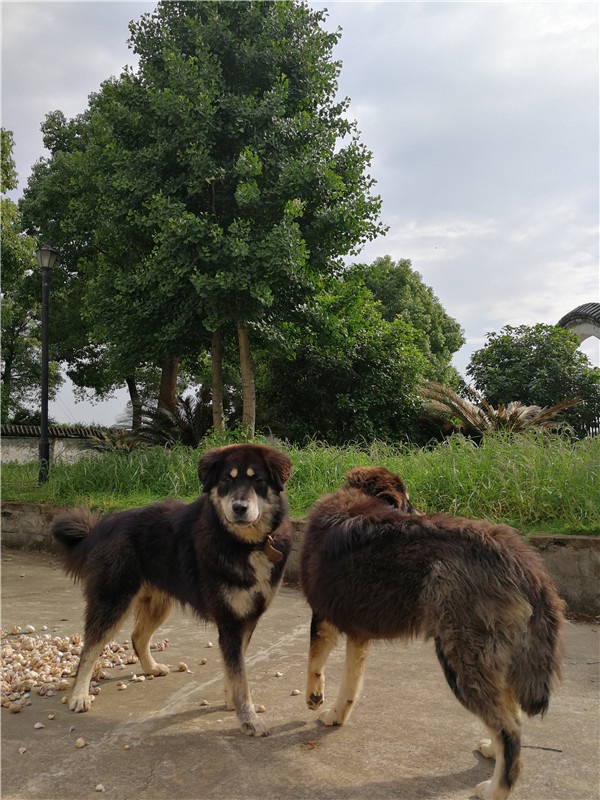 微信图片_20210507101657.jpg