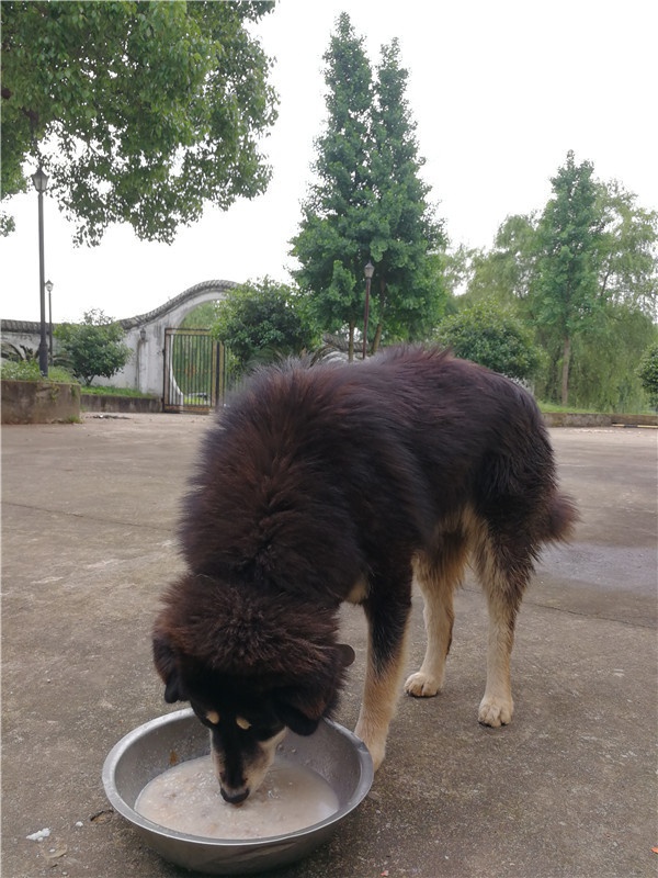 微信图片_20210507101701.jpg