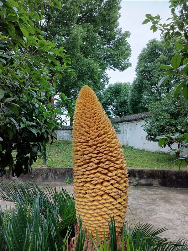 微信图片_20210621140401.jpg