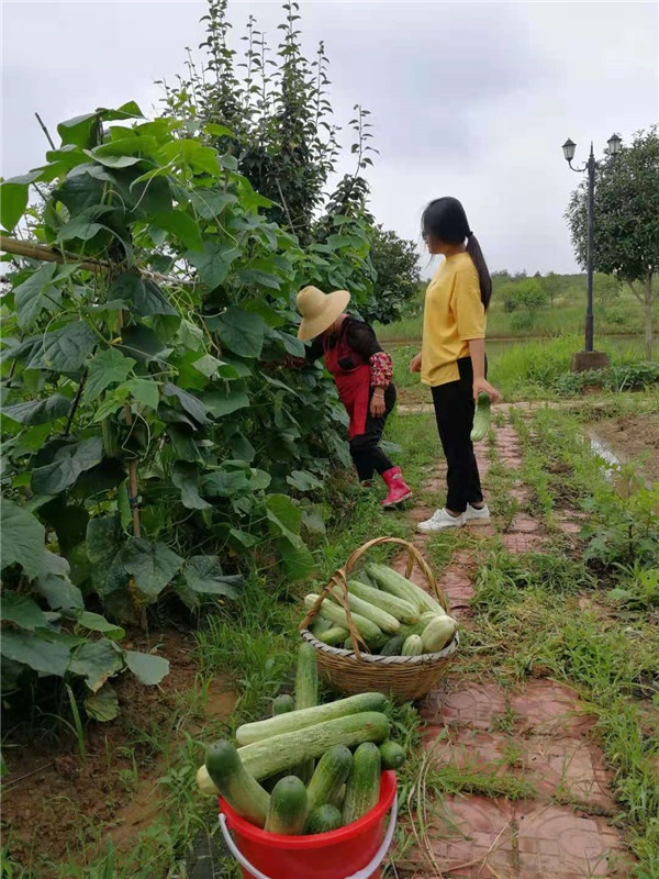 微信图片_20210629110953.jpg