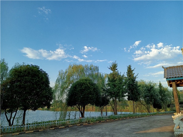 树欲静而风不止