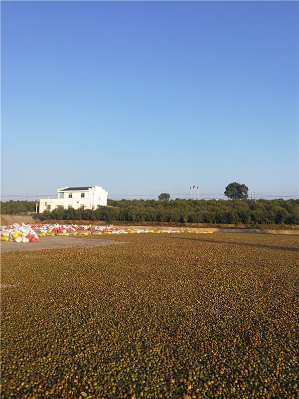 微信图片_20210719143524.jpg