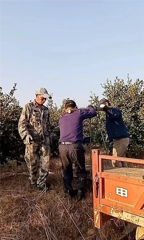 微信图片_20221017173418.jpg