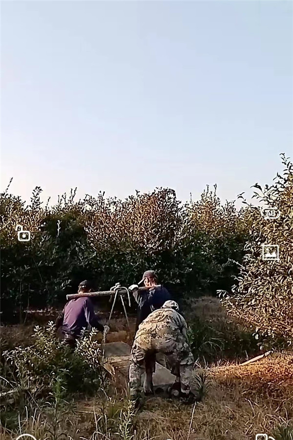 微信图片_20221017173438.jpg
