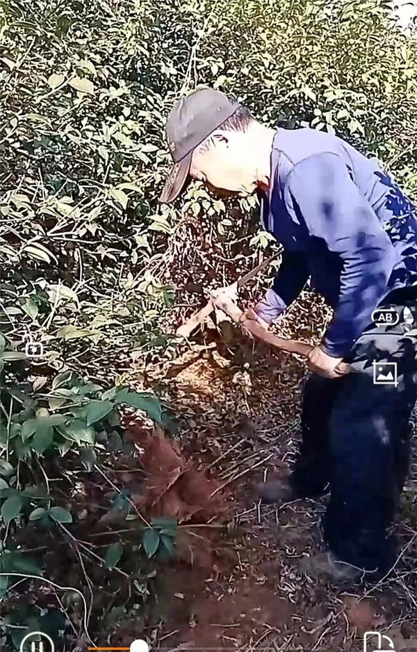 微信图片_20221017173452.jpg