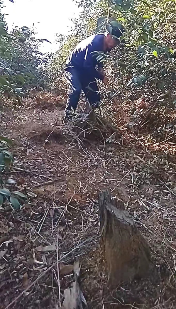 微信图片_20221017173500.jpg