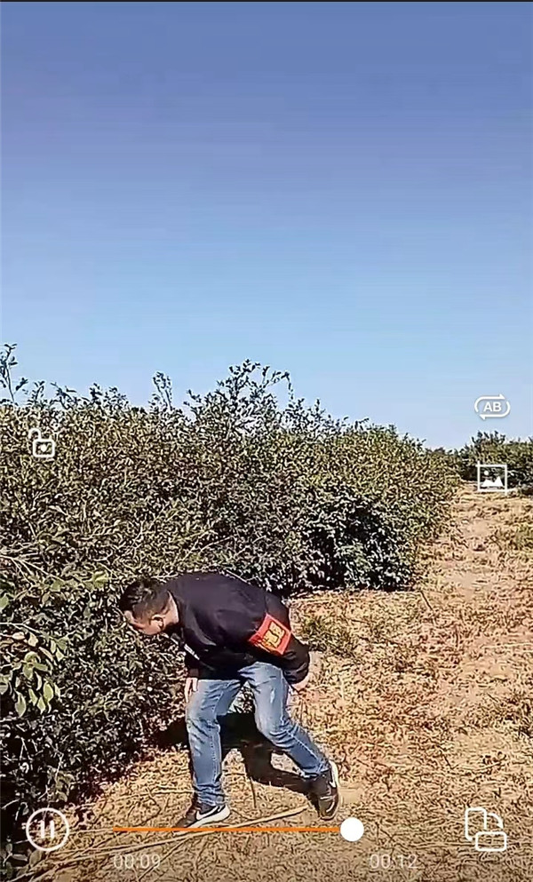 微信图片_20221019092049.jpg