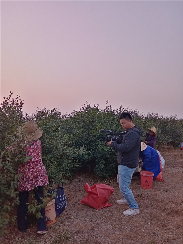 微信图片_20221024172359.jpg