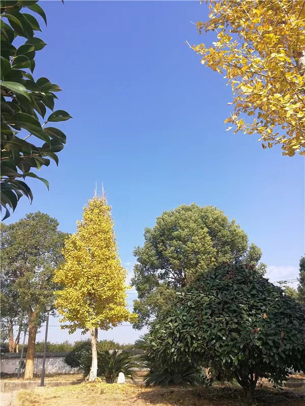 微信图片_20221115173036.jpg