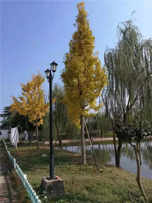 微信图片_20221115173050.jpg