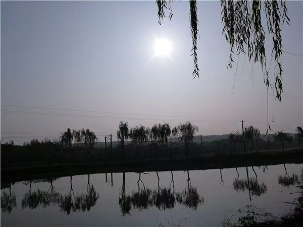 微信图片_20221115173101.jpg