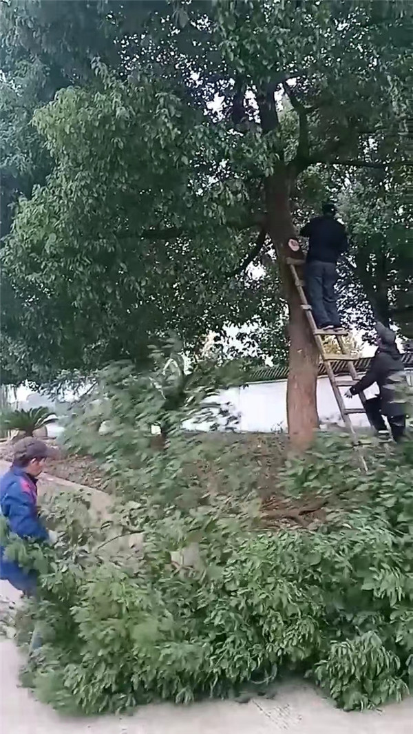 微信图片_20221204180007.jpg