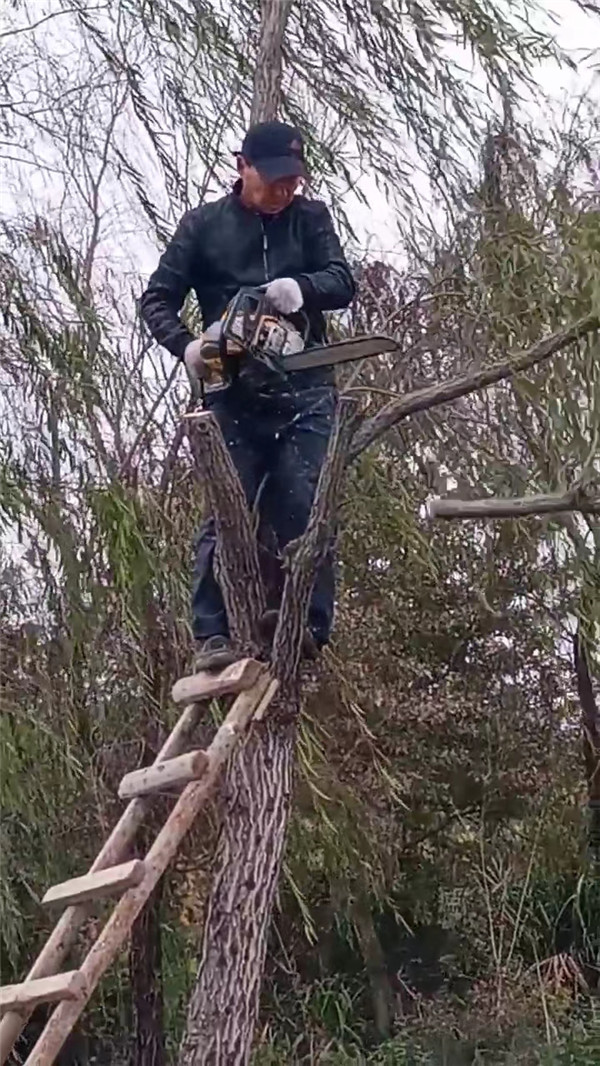 微信图片_20221204180030.jpg