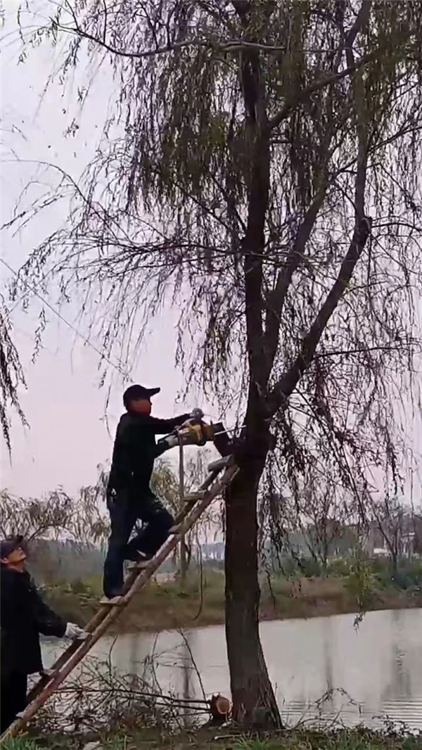 微信图片_20221204180039.jpg