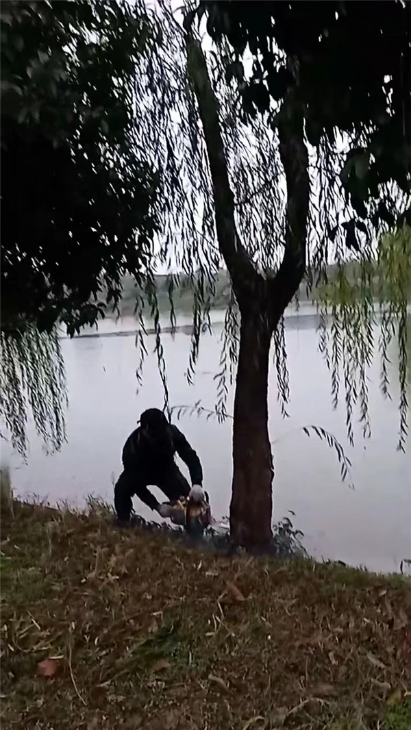 微信图片_20221204180043.jpg
