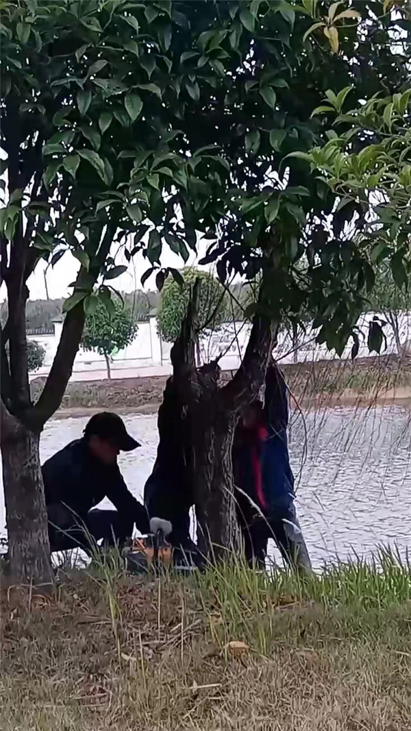 微信图片_20221204180125.jpg