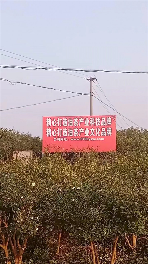 微信图片_20221209155939.jpg