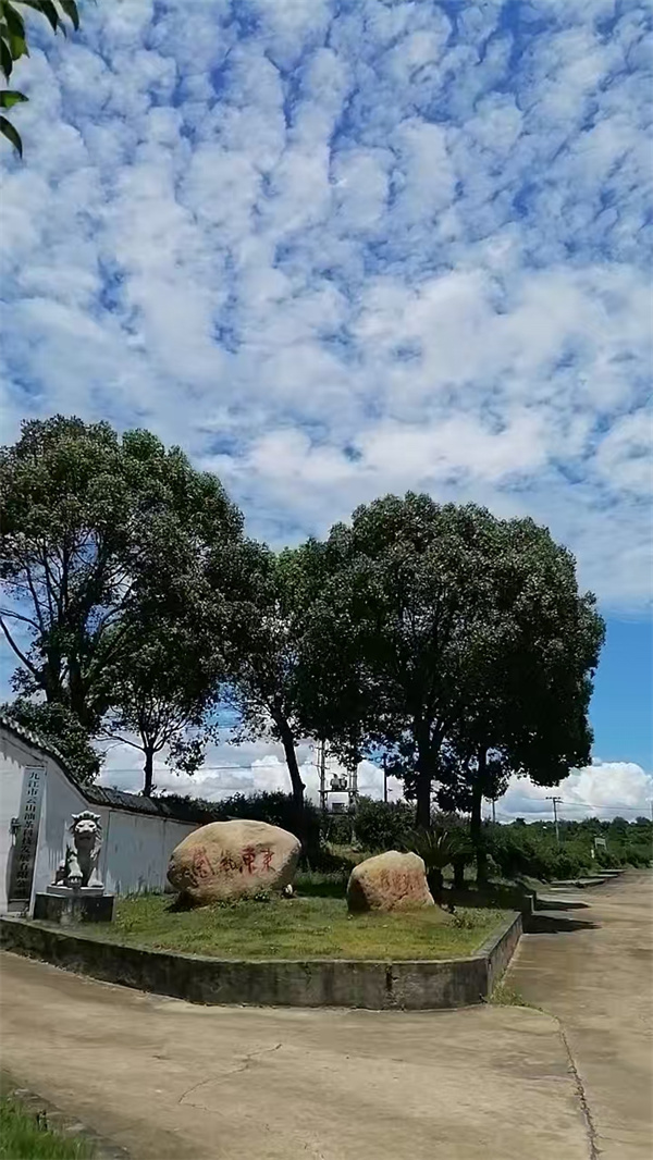 微信图片_2025-08-15_140535_057.jpg